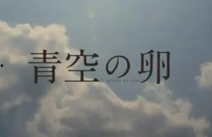 青空之卵在线观看